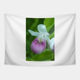 Showy Lady's Slipper Tapestry