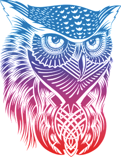 Rainbow Owl Magnet