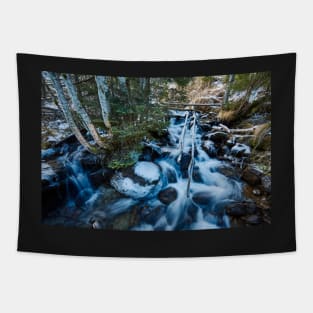 Frozen creek in winter Tapestry