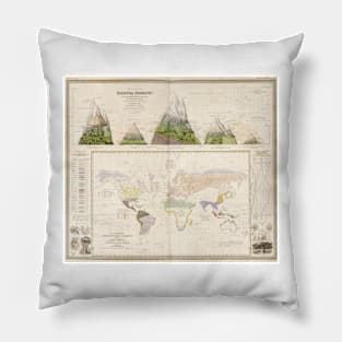 Global botanical geography, 1840s (C026/8518) Pillow