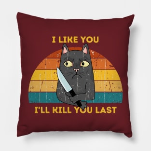 Spooky Lockdown Cat Pillow