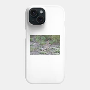 Rabbits, Cottontail Rabbit, Wildlife Phone Case