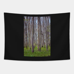 Hornbeam forest Tapestry