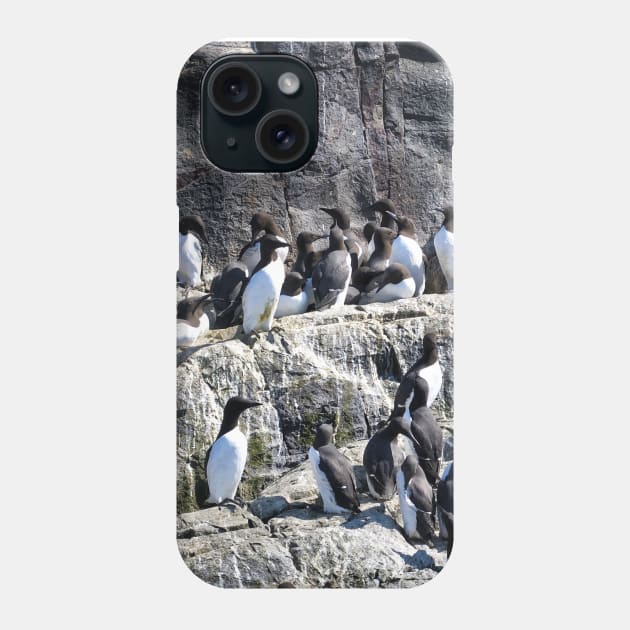 Guillemot Rock - Farne islands, Northumberland Phone Case by richflintphoto