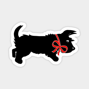 Black Scottish Terrier Dog bow Magnet