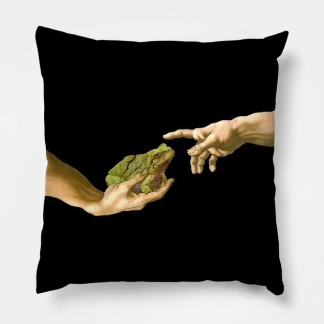 Creation of a Frog, Michelangelo Frog Pillow by FandomizedRose