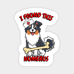 Funny collie dog is a nurse with a joke Magnet