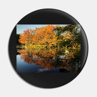 New England Autumn Pin