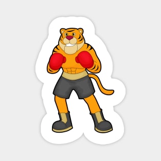 Tiger at Boxing with Boxing gloves Magnet