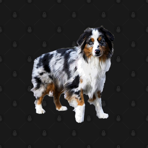 Australian Shepherd Merle Puppy Dog by ElegantCat