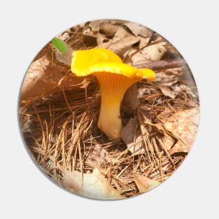 Golden Chanterelle Pin