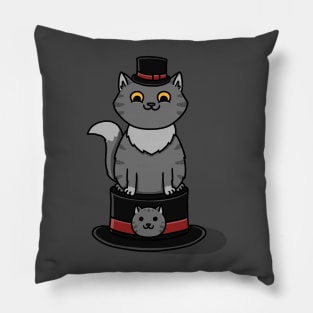 Cat In A Hat On A Kitty Cat Hat Pillow