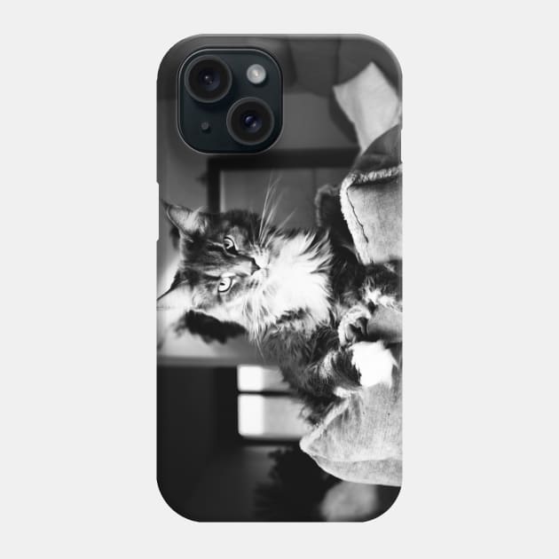 Cat main coon black and white II / Swiss Artwork Photography Phone Case by RaphaelWolf