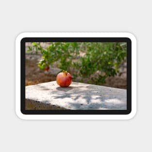 Pomegranate fruit Magnet