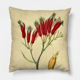 Phormium Pillow