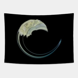 Goodnight Moon Tapestry