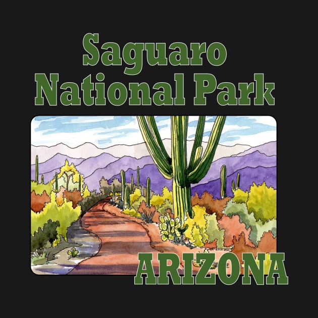 Saguaro National Park Arizona by MMcBuck