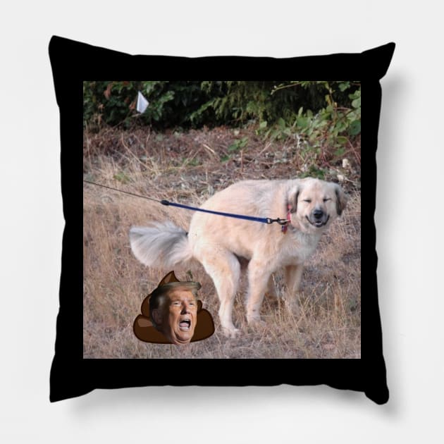 Trump dump Pillow by Art By Sophia