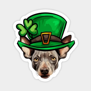 Funny St Patricks Day Hairless Terrier Magnet