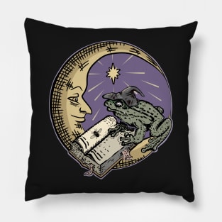 Frog Witch, Book and Moon Dark Academia Halloween Pillow