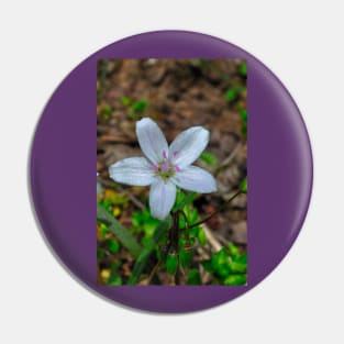 Woodland Wildflower Pin