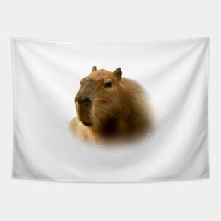 Capybara Tapestry