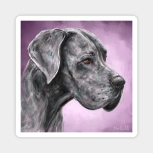 Painting of Majestic Great Dane on a Purple Background Magnet