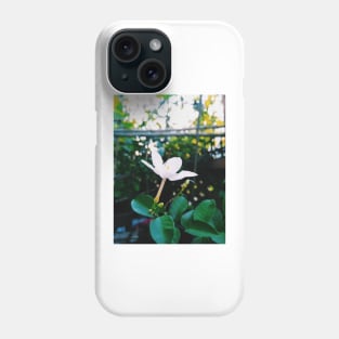 flower, wayside flower, white flower, wrightia antidysenterica, snowflake flower, white angel flower, snowflake, white angel, mobile photography, coral swirl flower, vintage flower, floral abstract art, blooming, vintage, floral Phone Case