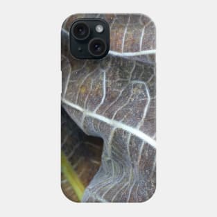 Withered Fig Leaves Autumn Fall texture macro 1 Phone Case