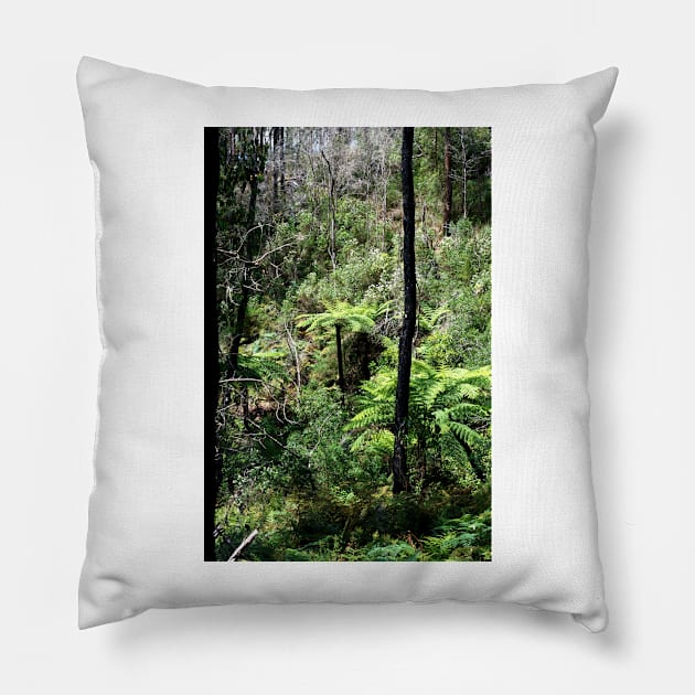Alpine Forest - Dogwood & Tree Ferns Pillow by GP1746