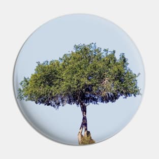 A Tree in Africa Pin