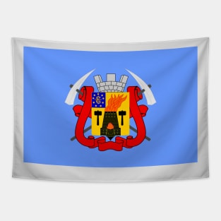 Flag of Luhansk Ukraine Tapestry