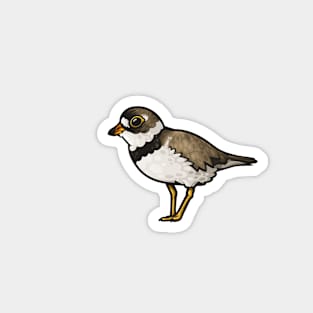 Semipalmated Plover Magnet