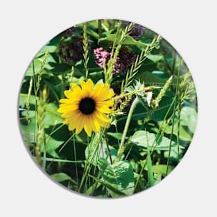 A Lone Sunflower in a Garden Pin