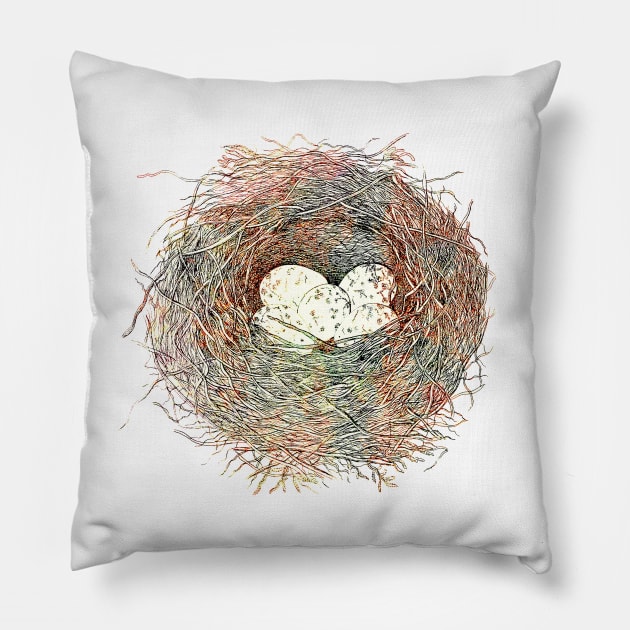 Painted Bird Nest Eggs Mottled Watercolor Pillow by oknoki