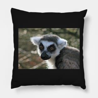 Ring Tailed Lemur Pillow