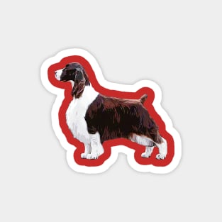 Springer Spaniel Standing Show Dog Magnet