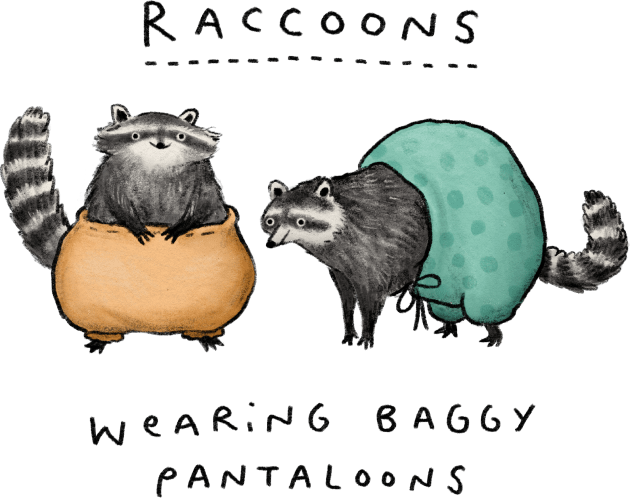 Raccoons Wearing Baggy Pantaloons Kids T-Shirt by Sophie Corrigan