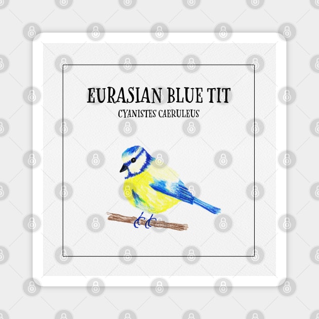 Birdies V: Eurasian Blue Tit Magnet by Aidi Riera