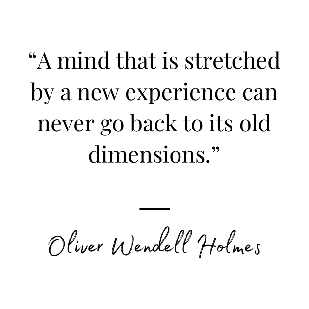 a mind that is stretched by a new experience can never go back to it's old dimensions by Leap Arts