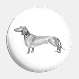 Dachshund shorthaired Pin