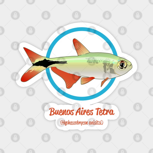 Buenos Aires Tetra Magnet by Reefhorse