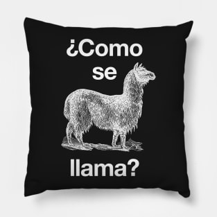 ¿Como se llama? Pillow