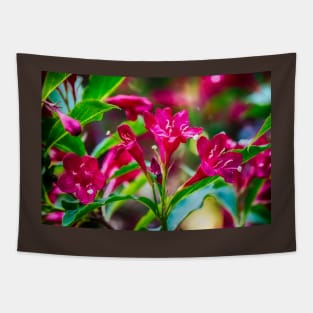 Weigela 4 Tapestry