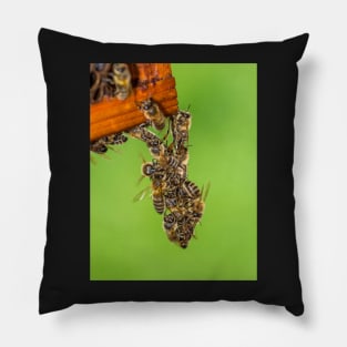 A bunch of bees? Pillow