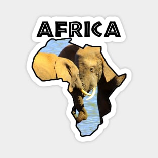 Africa Wildlife Continent Elephants in Love Magnet