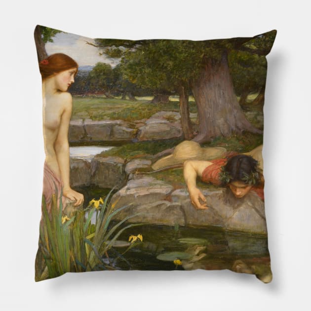 Echo and Narcissus by John William Waterhouse Pillow by Classic Art Stall