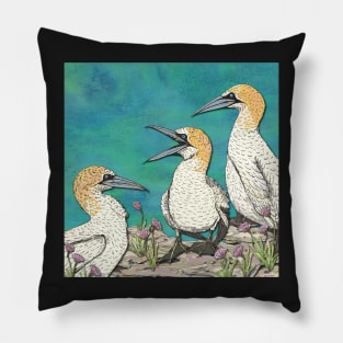 A Gaggle of Gannets Pillow