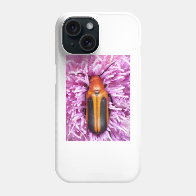 Blister beetle in Florida, identified as Nemognatha piazata Phone Case by SDym Photography