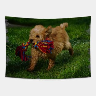 Puppy Love Tapestry